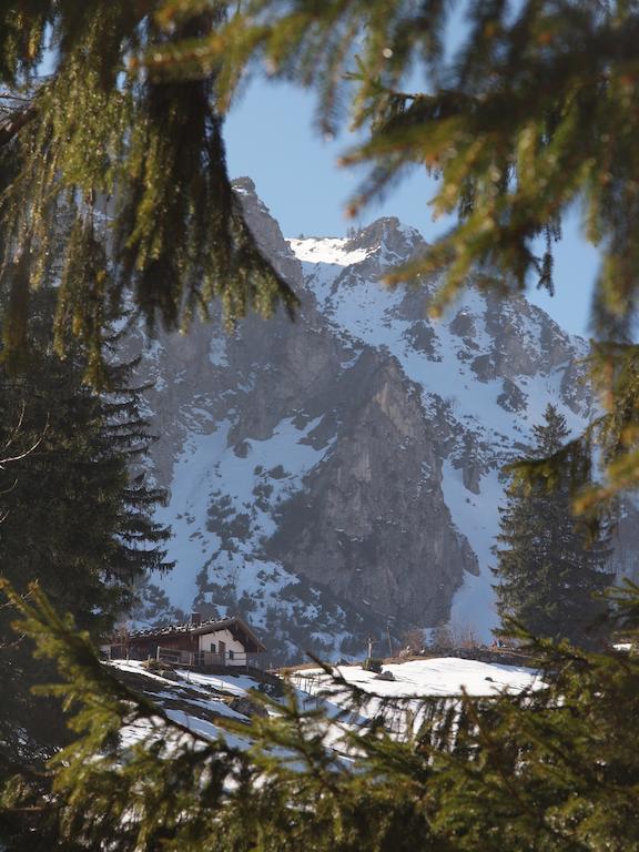 Alpenresidenz Chiemgau Lejlighed Schleching Eksteriør billede